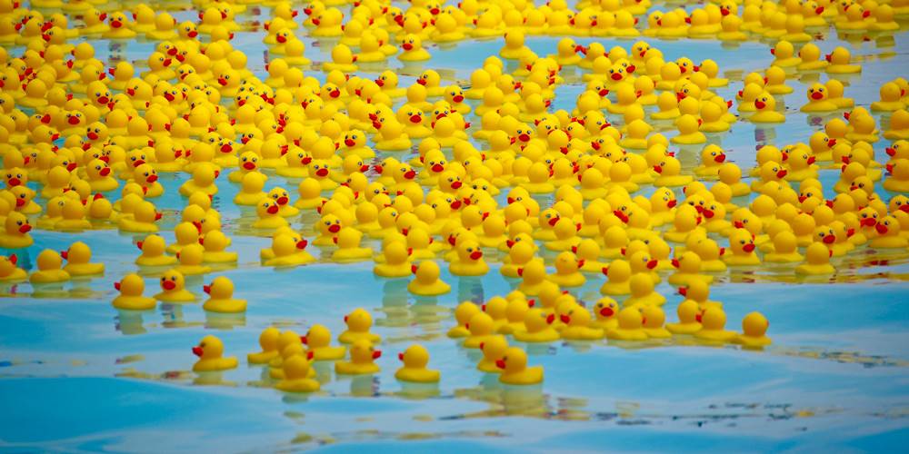 3rd Annual Duck Derby Helps Keep Families Close to the Care They Need!