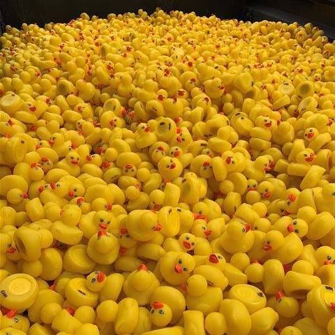 This Labor Day on Monday, September 7, 2020 was our annual Labor Day Ducky Derby at Knight's Action Park! Proceeds from this event will support the families at Ronald McDonald House Charities® of Central Illinois.