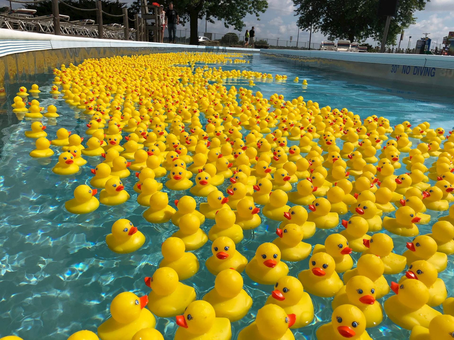 5th Annual Labor Day Ducky Derby September 6, 2021